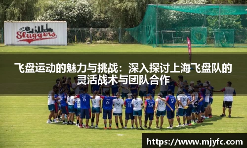 飞盘运动的魅力与挑战：深入探讨上海飞盘队的灵活战术与团队合作